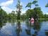 16hendersonSwamp.jpg